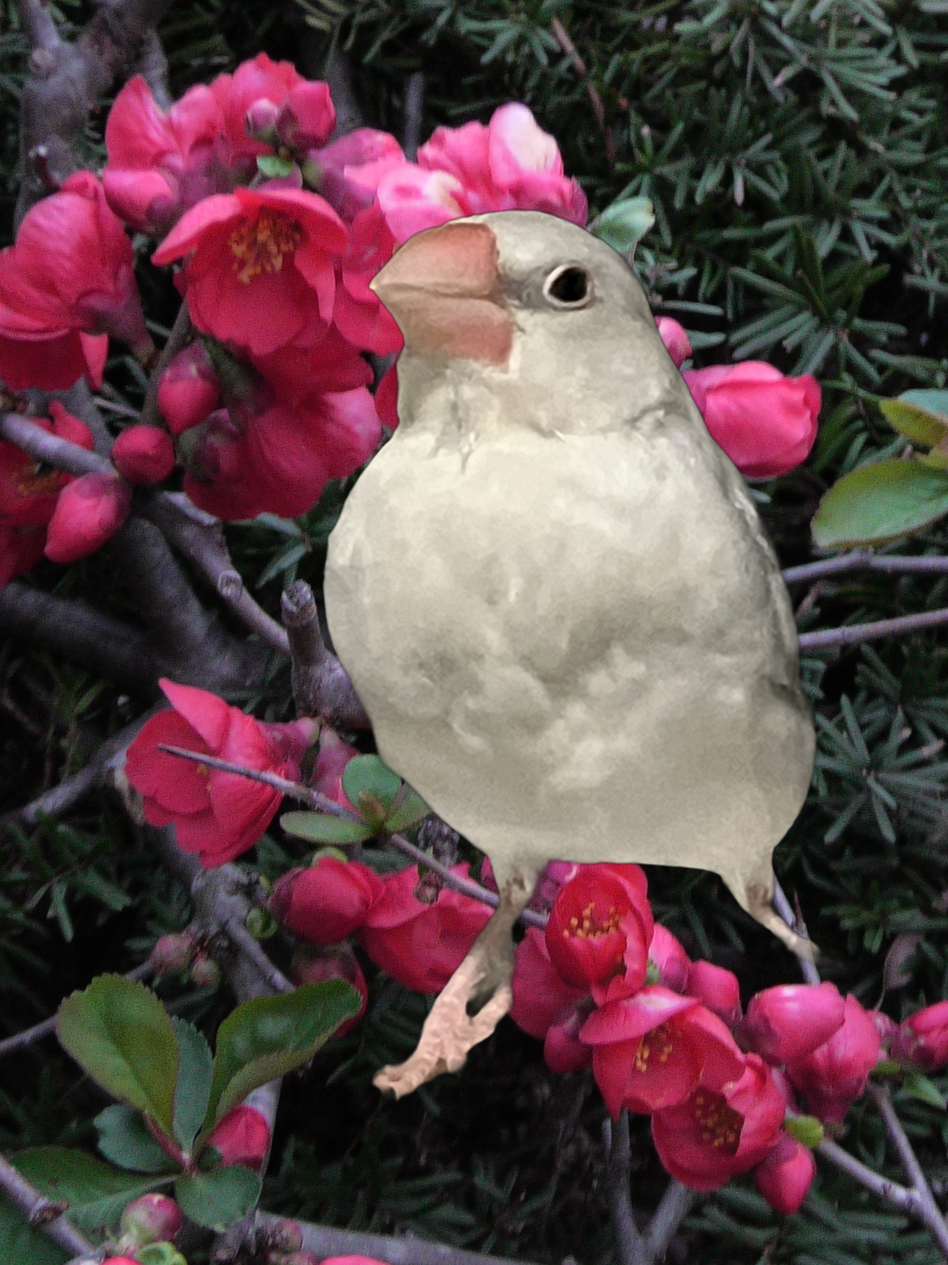 岩佐和裁について