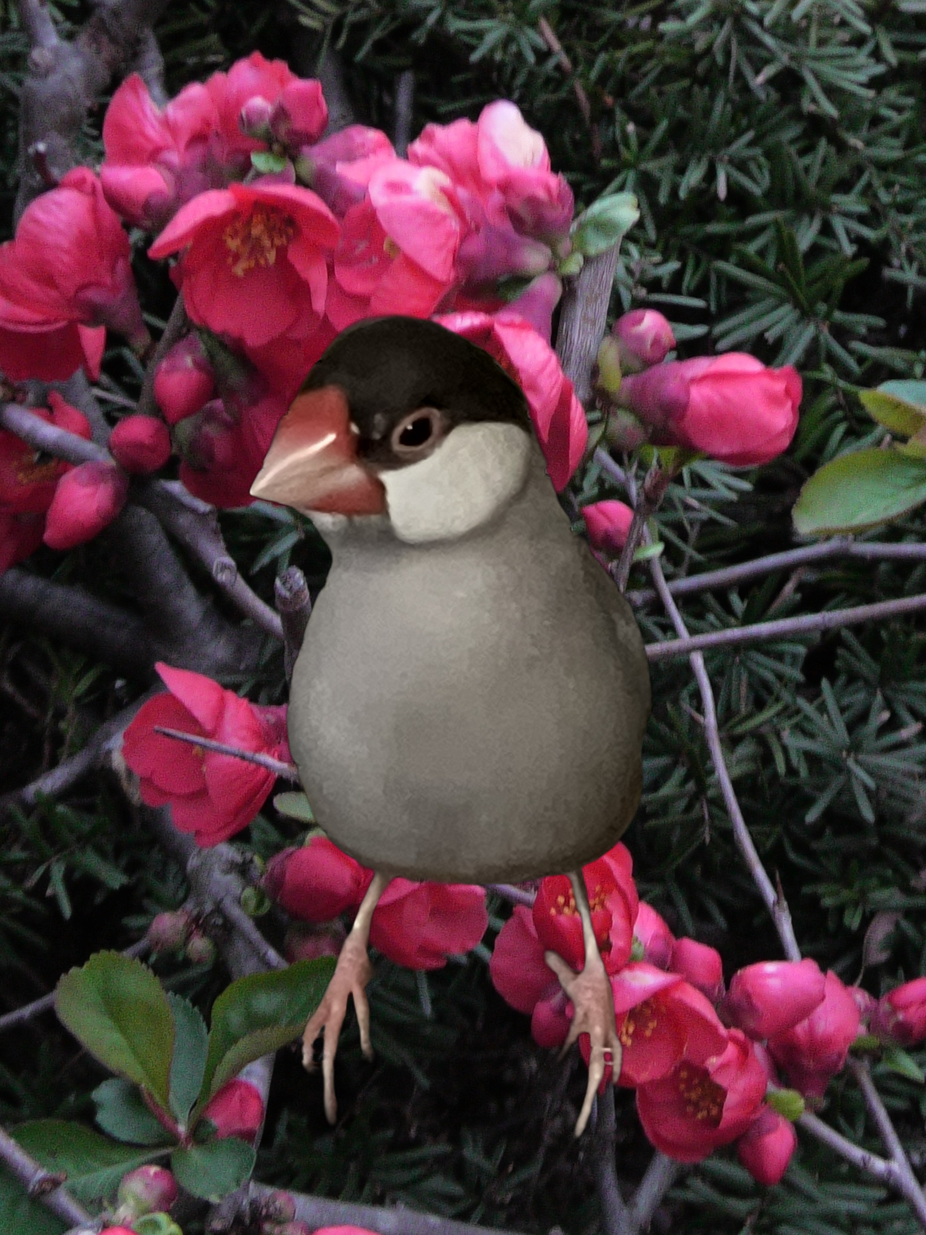 岩佐和裁について